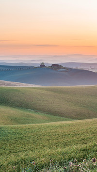 Green grassland-11