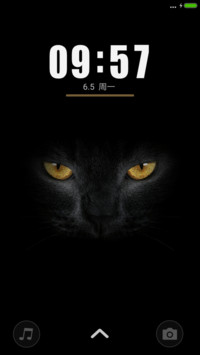 黑白控（猫）