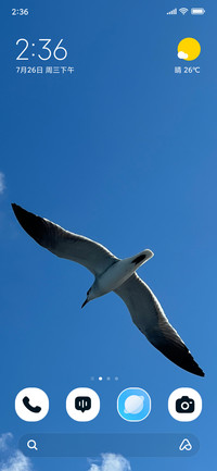 Sky Seagull