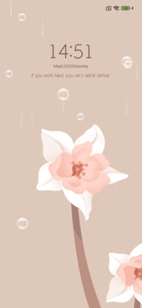 Spring branch