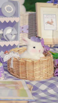Rabbit Diary