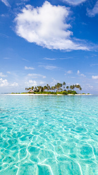The seawater in the maldives is really clear