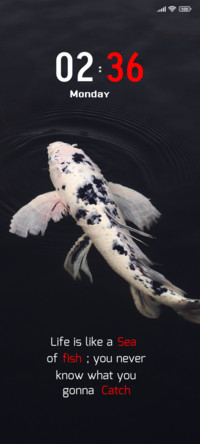 Fish