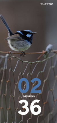 Wire Finch