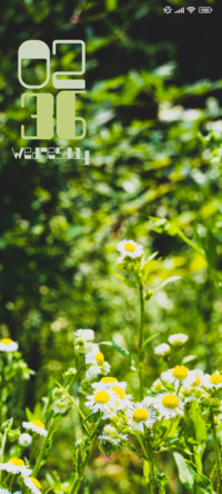 Tiny Garden