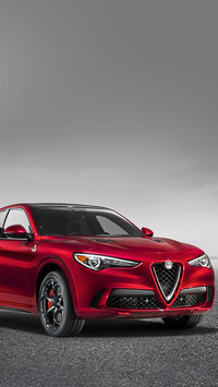 运动派Stelvio