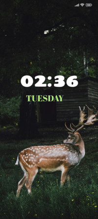 Spotted Rein Deer