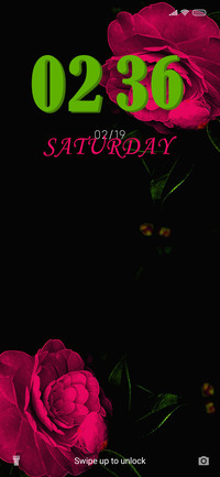 Roses