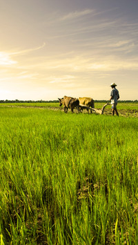 Farmers will save a lot of expenses