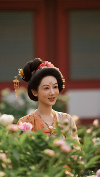 《国色芳华》看点十足