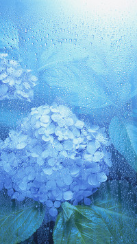 二十四节气之雨水