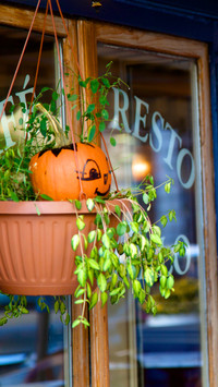 halloween (5)