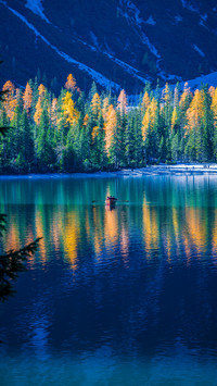 Lake in autumn