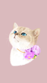 请不要“以毛取猫”！