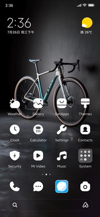 Mountain Bike