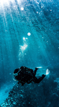 Marine (17)