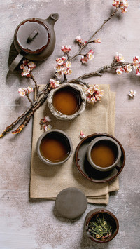 茶叶冷知识