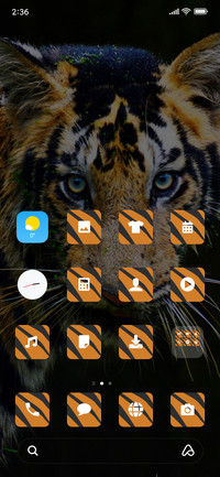 Tiger Face_3MDS