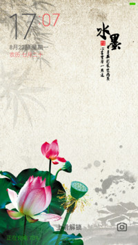 荷花