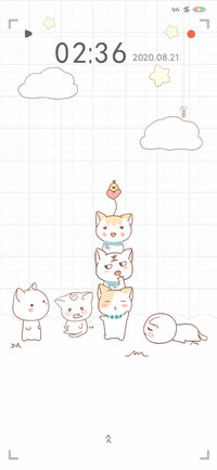 猫咪呀