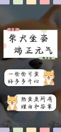柴犬坐姿端正元气