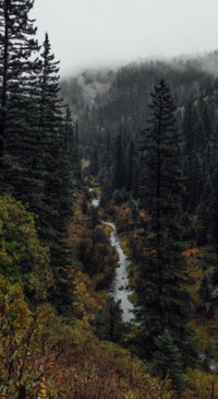 Climb the Mountain (5)
