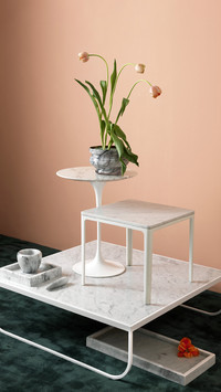 Home plant 06