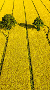 Wide fields