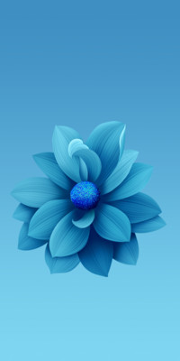 小米6X 官方壁纸