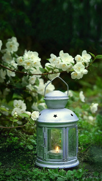 Magic Lantern with Candle and White Flowers