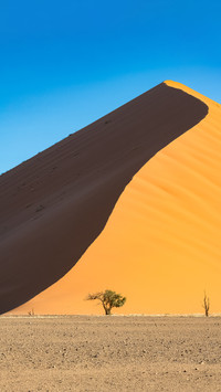 Pure desert