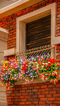 The flowers on the windowsill
