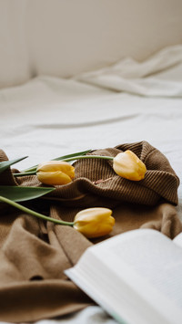 Tulips placed on sweaters