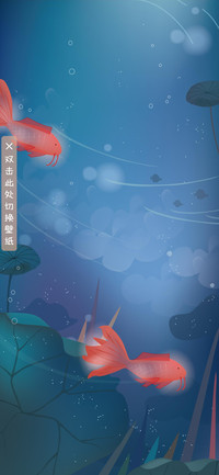 兔子与锦鲤君