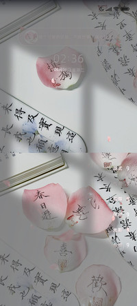 纸上花信中月