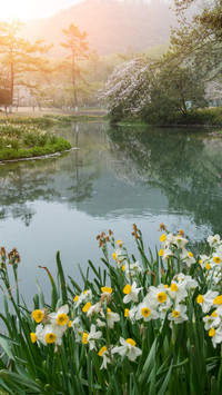 When the spring scenery in taiziwan is at its peak