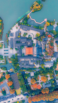 Life Zhenjiang element 05