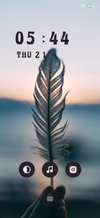 Wings