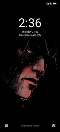 Face v13