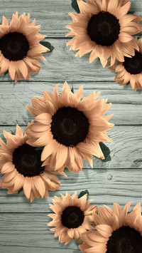 Sunflower-Desity