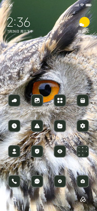 Owl