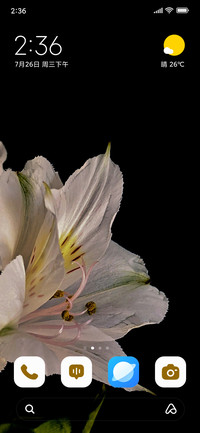 Petal Ray