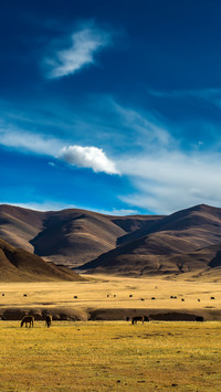 Chinas most dangerous no mans land 60