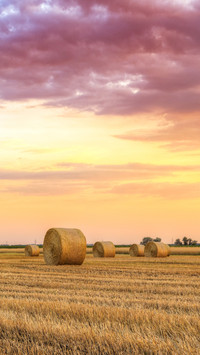 Sunset over farm field with hay bales in Hungary