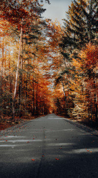 Nature B5 (34)