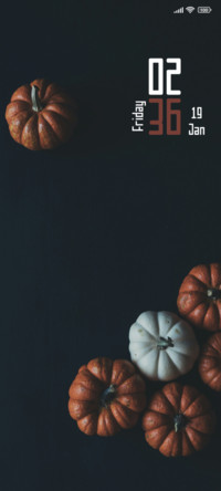 Orange Pumpkins