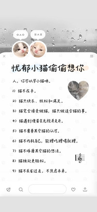 忧郁小猫偷偷想你