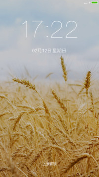 金色麦田