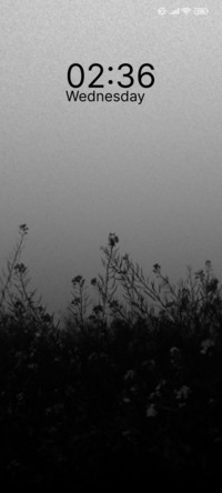 Monochrome Meadow