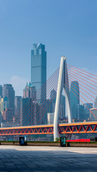 Unique Y-Shaped Bridge, A Symbol of Modern Urbanity